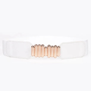 Women's PU Buckle Closure Solid Pattern Trendy Elastic Waist Belts