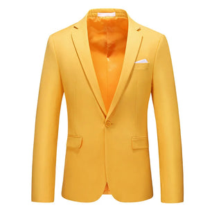 Men's Notched Polyester Long Sleeve Single Breasted Blazers Set