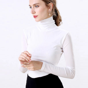 Women's Polyester Turtleneck Long Sleeve Casual Wear Blouse