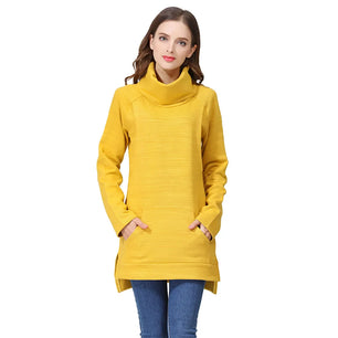 Women's Polyester Turtleneck Full Sleeves Solid Pattern Sweater