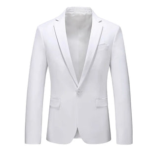 Men's Notched Polyester Long Sleeve Single Breasted Blazers Set