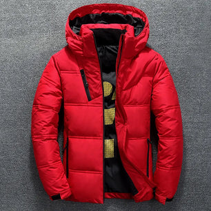 Men's Polyester Full Sleeves Zipper Closure Hooded Casual Jacket