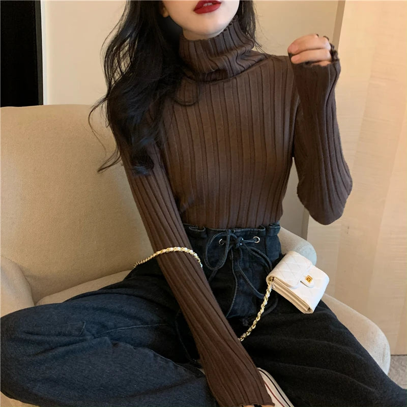 Women's Cashmere Turtleneck Long Sleeves Casual Wear Sweaters