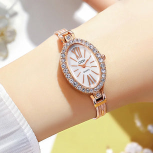 Women's Stainless Steel Oval Shaped Waterproof Quartz Watch