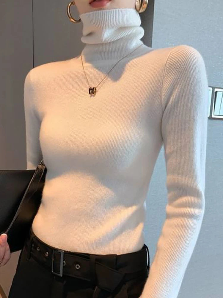 Women's Polyester Turtleneck Full Sleeves Solid Pattern Sweater