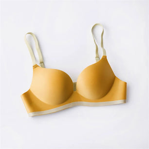 Women's Polyester Non-Convertible Straps Back Closure Push Up Bra