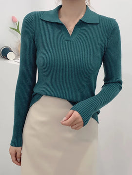 Women's Polyester Turn-Down Collar Long Sleeves Solid Sweater