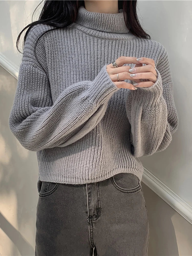 Women's Acrylic Turtleneck Full Sleeves Solid Pattern Sweater