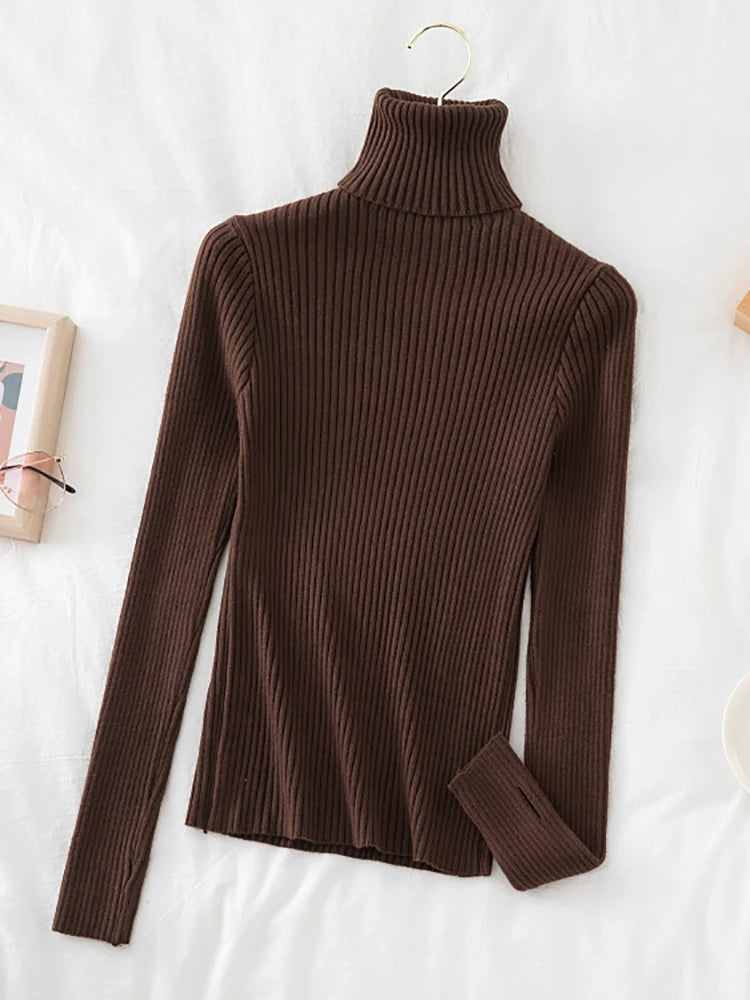 Women's Acrylic Turtleneck Full Sleeves Solid Pattern Sweater