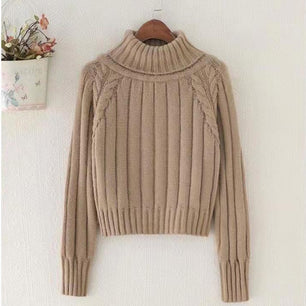 Women's Acrylic Turtleneck Full Sleeves Casual Pullover Sweater