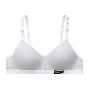 Women's Polyester Non-Convertible Straps Back Closure Push Up Bra