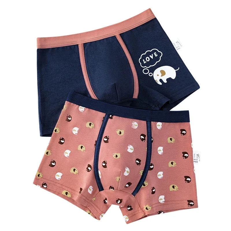 Kid's Boy 2Pcs Cotton Quick-Dry Printed Pattern Underwear Shorts