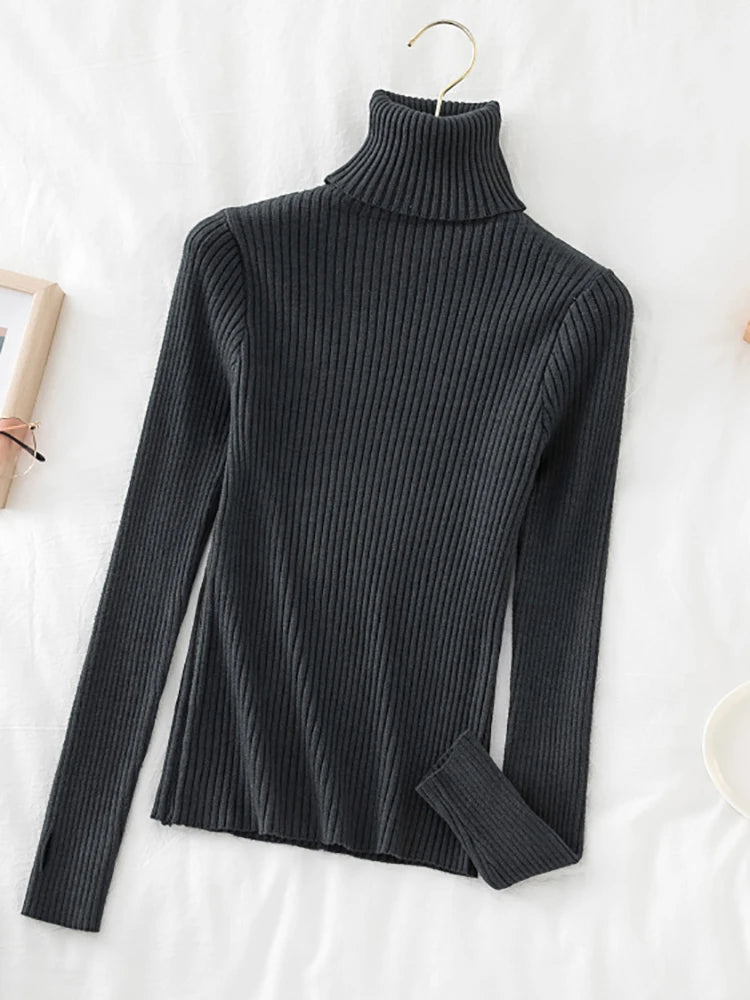 Women's Acrylic Turtleneck Full Sleeves Solid Pattern Sweater