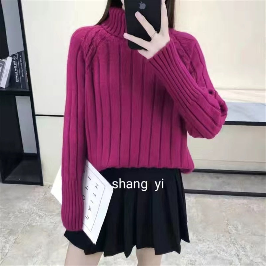 Women's Acrylic Turtleneck Full Sleeves Casual Pullover Sweater