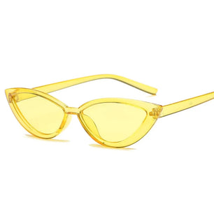 Women's Plastic Frame Lens Cat Eye Shaped Trendy Sunglasses