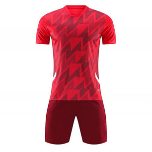 Men's Polyester Short Sleeve T-Shirt With Shorts Workout Set