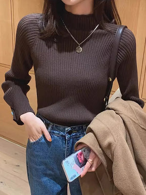 Women's Polyester Turtleneck Full Sleeves Solid Pattern Sweater