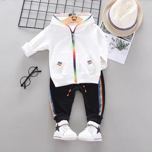 Kid's Boys Cotton Long Sleeves Casual Hooded Two-Piece Suit