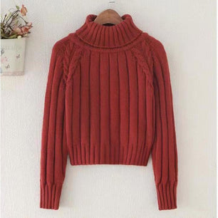 Women's Acrylic Turtleneck Full Sleeves Casual Pullover Sweater