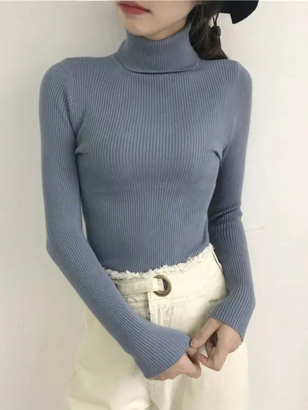 Women's Acrylic Turtleneck Full Sleeve Solid Pattern Sweater