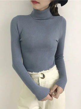 Women's Acrylic Turtleneck Full Sleeve Solid Pattern Sweater