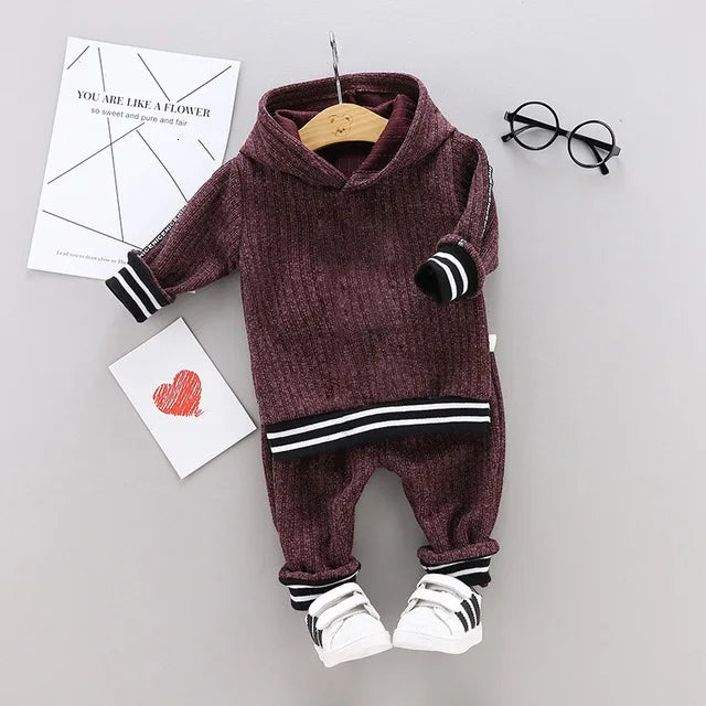 Kid's Boys Cotton Long Sleeves Casual Hooded Two-Piece Suit