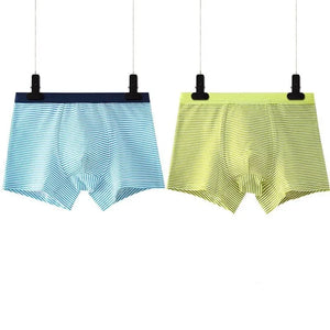 Kid's Boy 2Pcs Cotton Quick-Dry Striped Pattern Underwear Shorts