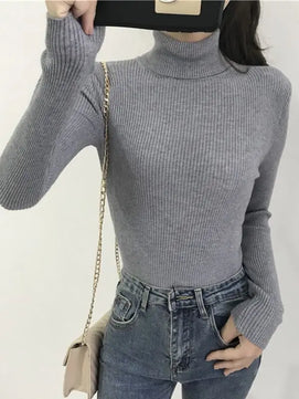 Women's Acrylic Turtleneck Full Sleeve Solid Pattern Sweater