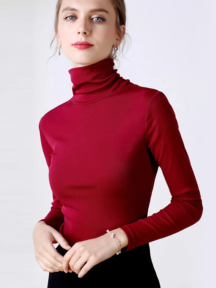 Women's Polyester Turtleneck Long Sleeve Casual Wear Blouse