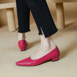 Women's Genuine Leather Pointed Toe Slip-On Closure Trendy Shoes