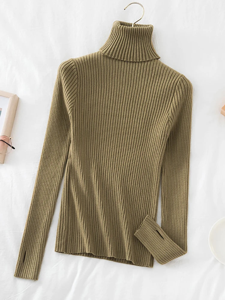 Women's Acrylic Turtleneck Full Sleeves Solid Pattern Sweater