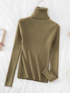 Women's Acrylic Turtleneck Full Sleeves Solid Pattern Sweater