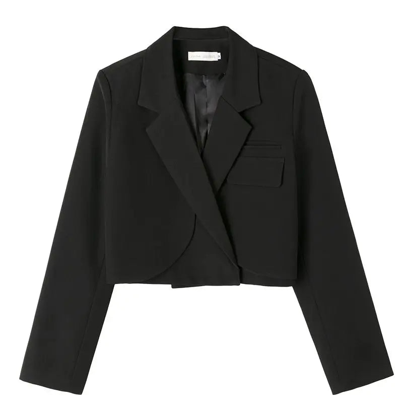 Women's Notched Collar Long Sleeve Single Breasted Casual Blazer