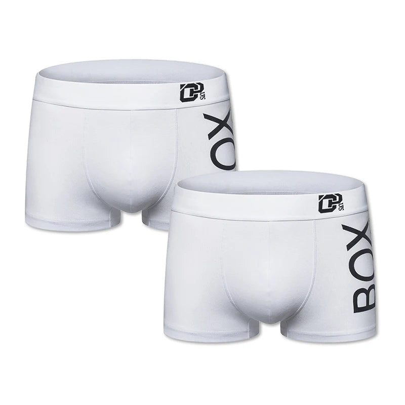 Men's 2 Pcs Cotton Letter Pattern Trendy Underwear Boxer Shorts