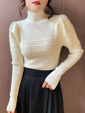 Women's Polyester Turtleneck Full Sleeves Solid Pattern Sweater