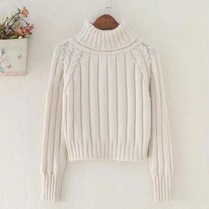 Women's Acrylic Turtleneck Full Sleeves Casual Pullover Sweater