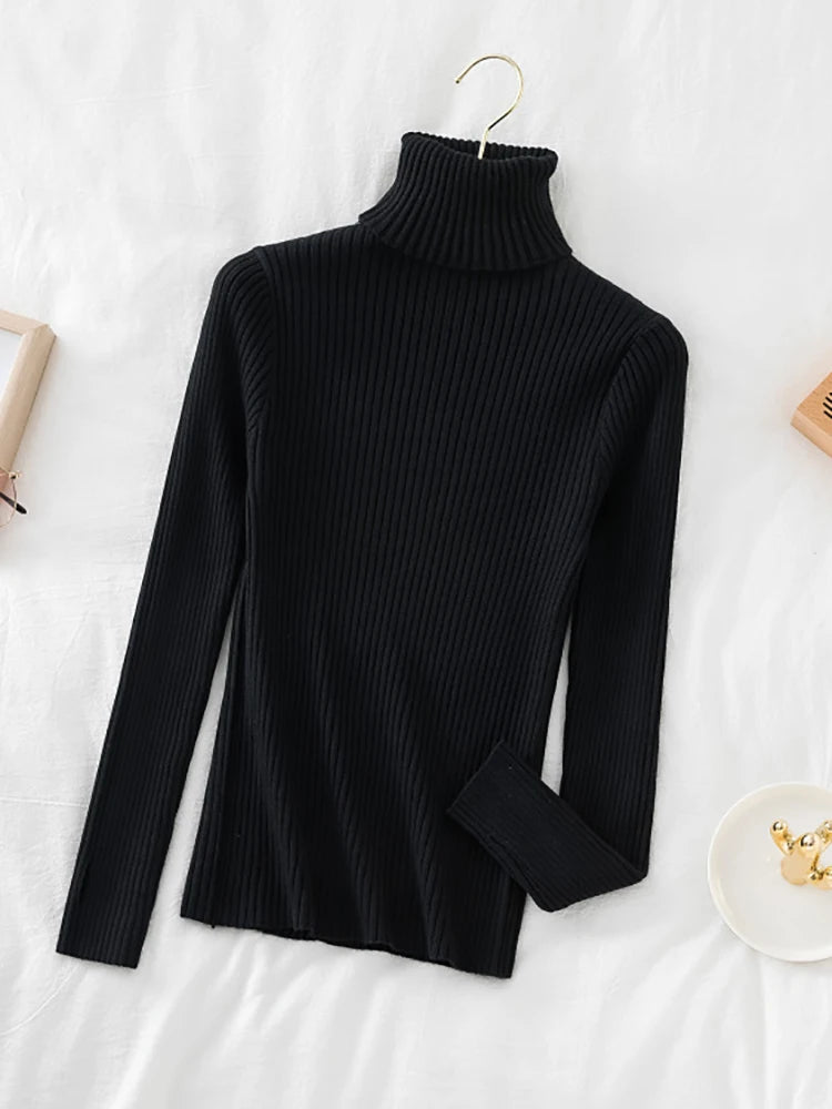 Women's Acrylic Turtleneck Full Sleeves Solid Pattern Sweater