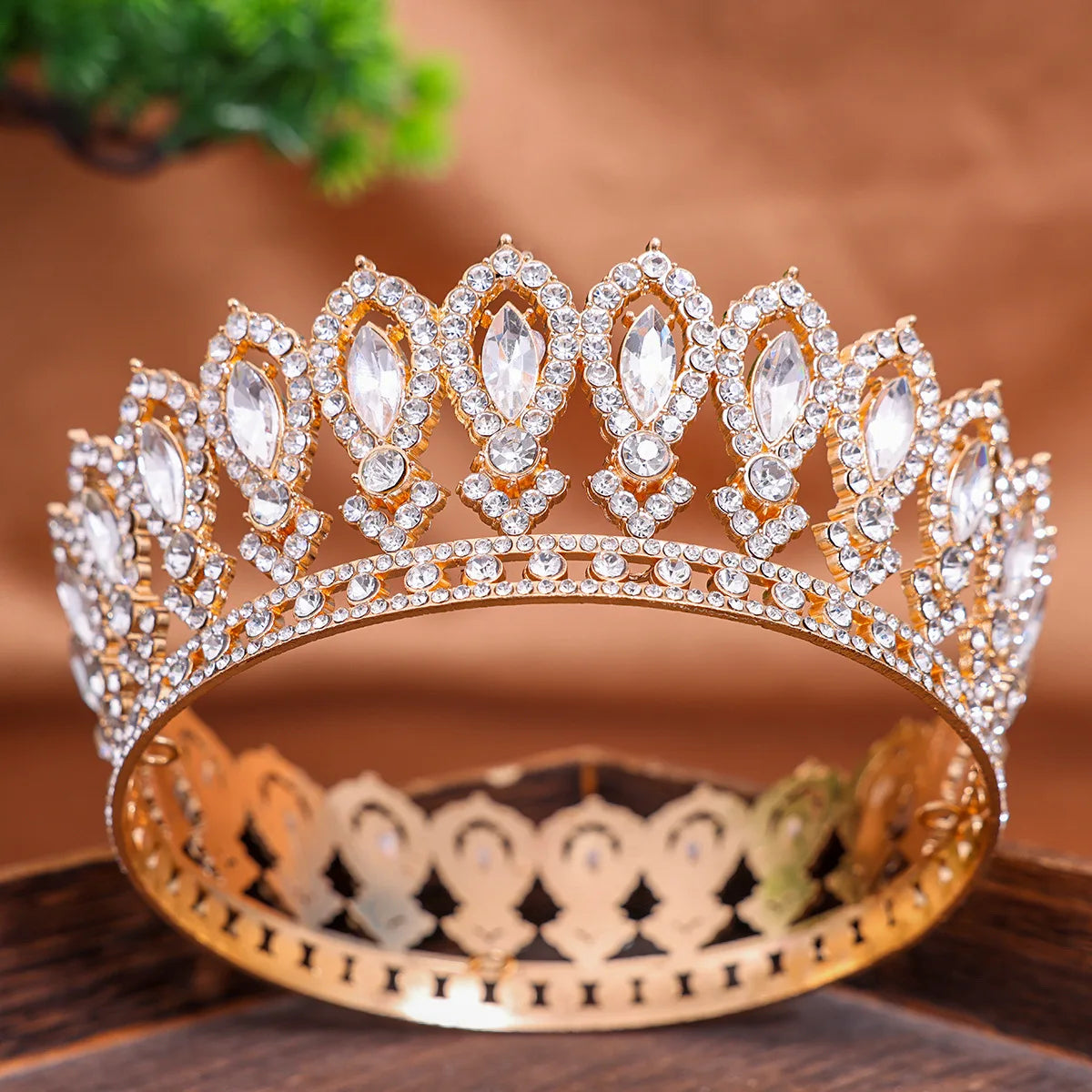 Women's Zinc Alloy Plant Pattern Tiaras Bridal Classic Crown