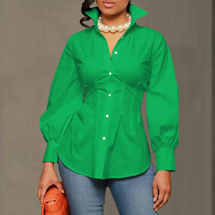 Women's Polyester Turn-Down Collar Long Sleeves Solid Blouse