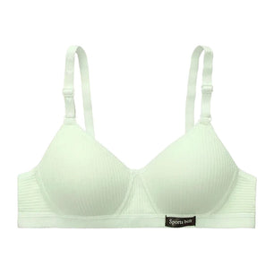 Women's Polyester Non-Convertible Straps Back Closure Push Up Bra