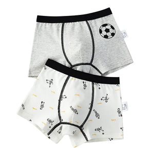 Kid's Boy 2Pcs Cotton Quick-Dry Printed Pattern Underwear Shorts