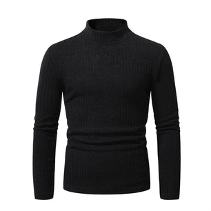 Men's Polyester Turtleneck Full Sleeves Solid Pattern Sweater