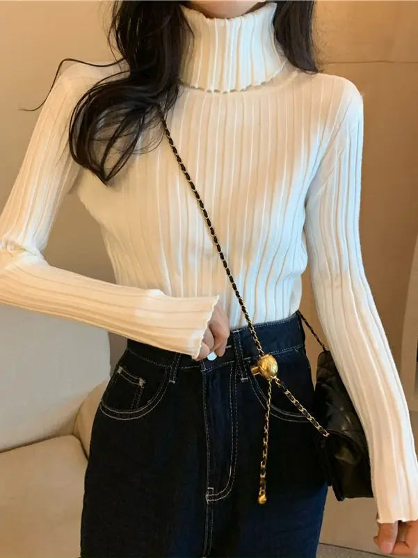 Women's Cashmere Turtleneck Long Sleeves Casual Wear Sweaters