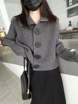 Women's Acrylic Turn-Down Collar Full Sleeves Knitted Sweater