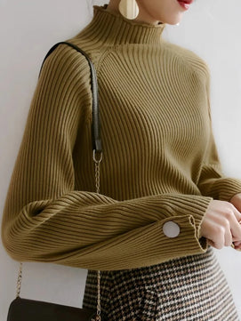 Women's Polyester Turtleneck Full Sleeves Solid Pattern Sweater