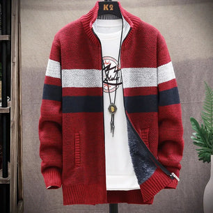 Men's Wool Stand Collar Full Sleeves Zipper Closure Casual Sweater