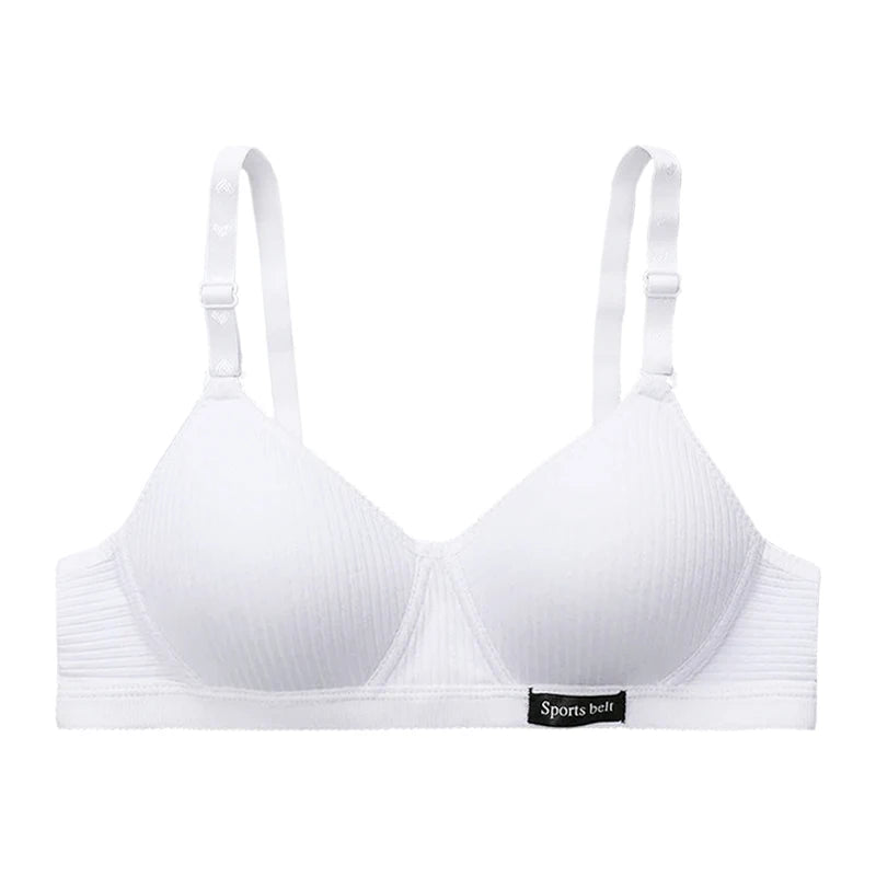 Women's Polyester Non-Convertible Straps Back Closure Push Up Bra