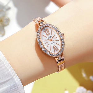 Women's Stainless Steel Oval Shaped Waterproof Luxury Watch