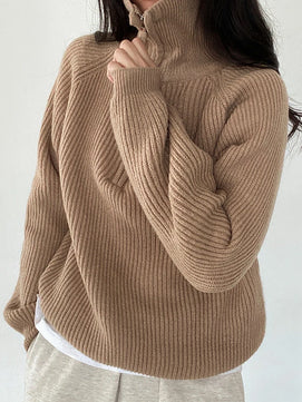 Women's Polyester Turn-Down Collar Full Sleeves Solid Sweater