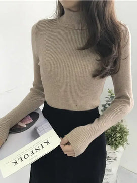 Women's Acrylic Turtleneck Full Sleeve Solid Pattern Sweater